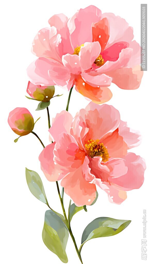 粉色娇艳花卉插画