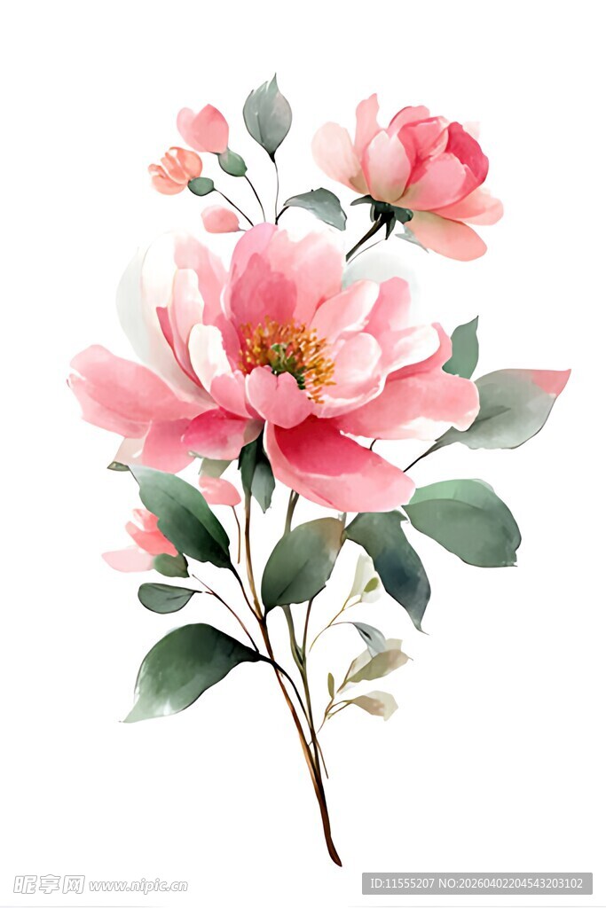 粉色花卉水彩画枝上绽放