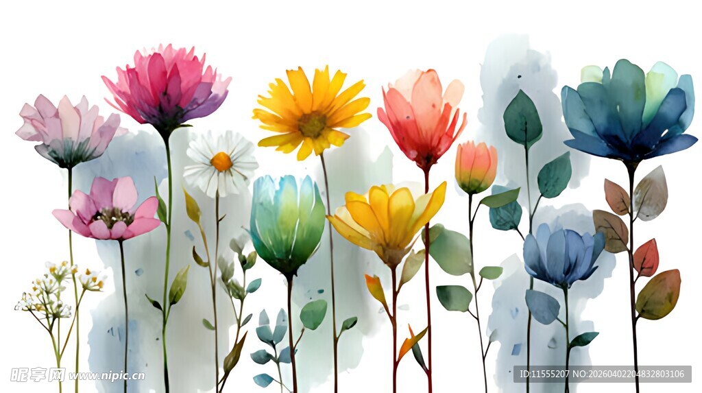 多彩花卉插画清新自然风