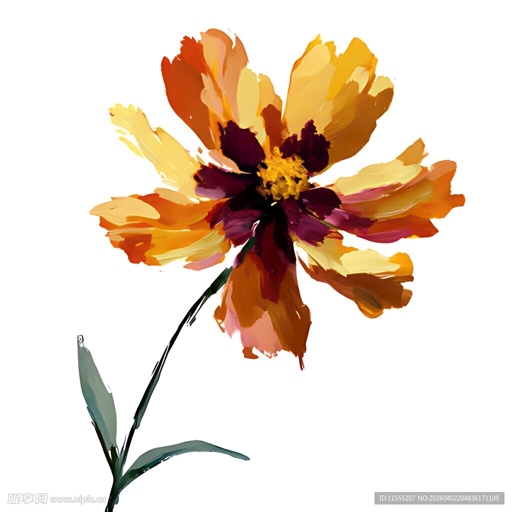 水彩风橙黄色花朵插画