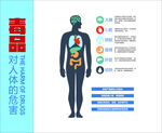 毒品对人体的危害图示