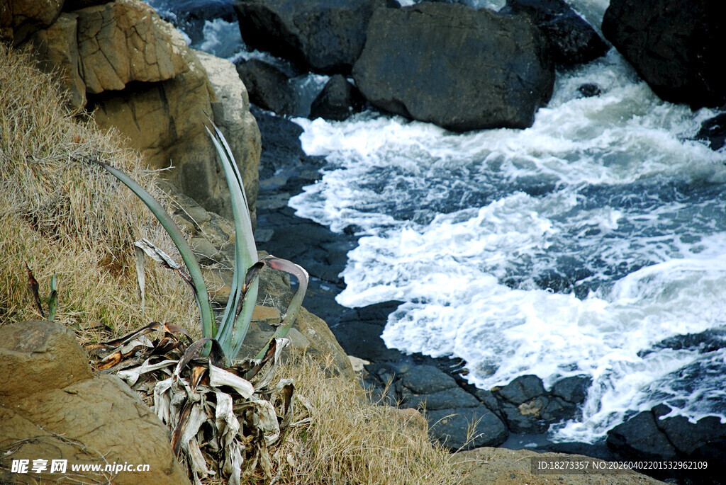 海岸边岩石与汹涌海浪