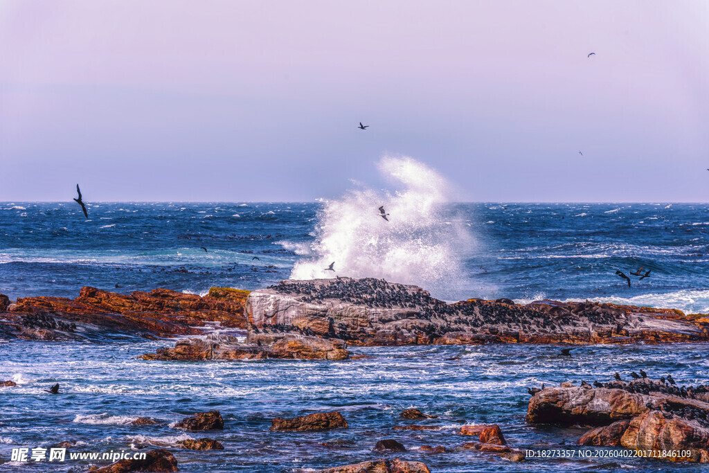 大海海浪