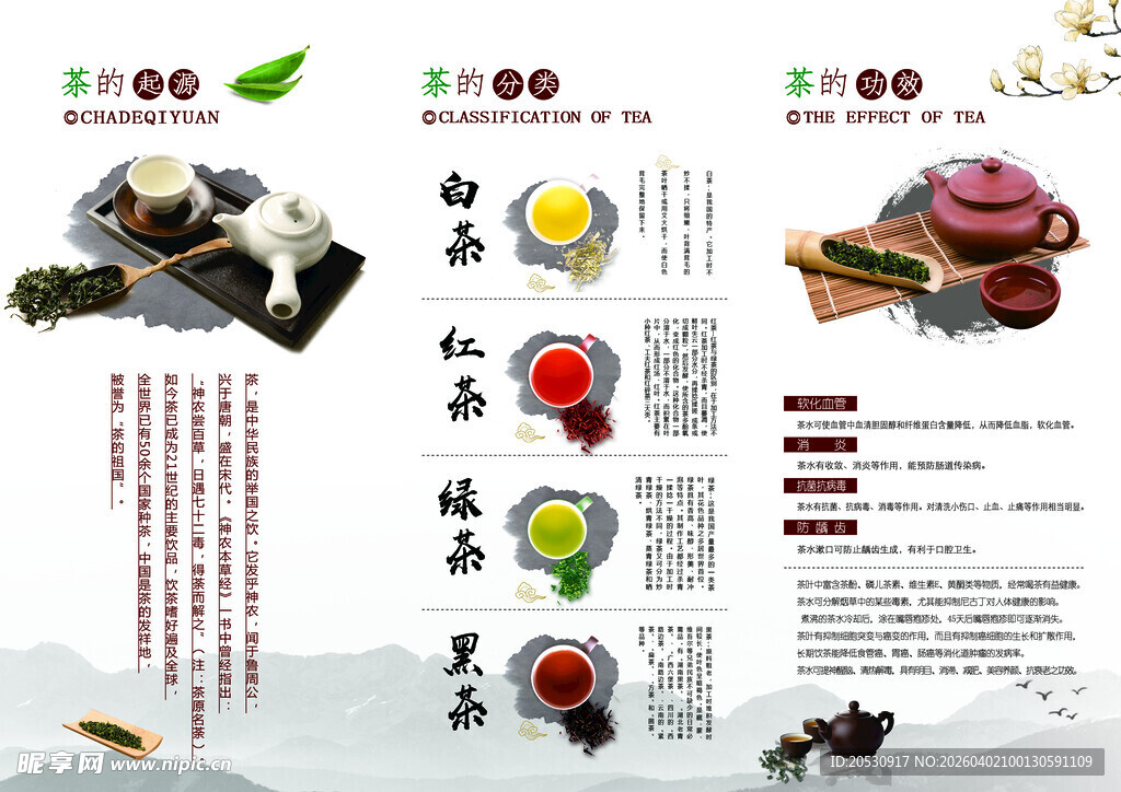 茶文化宣传页展示