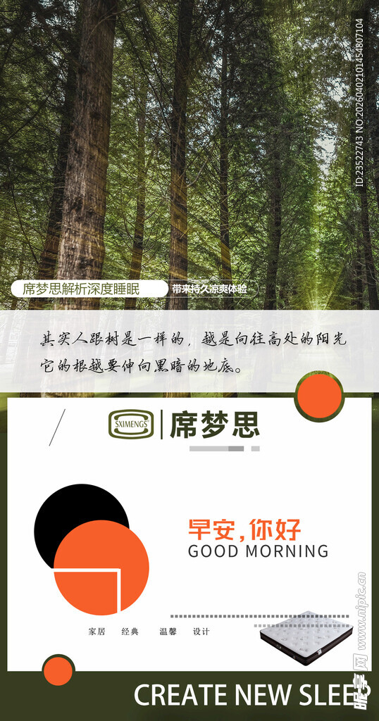 森林中的创意梦想展示板