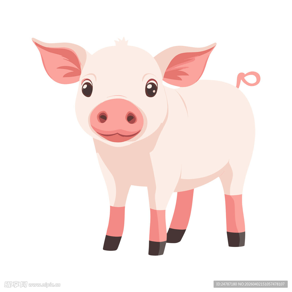 可爱小猪插画