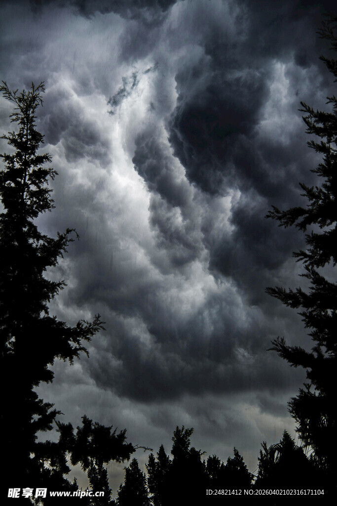 乌云笼罩下的森林景象