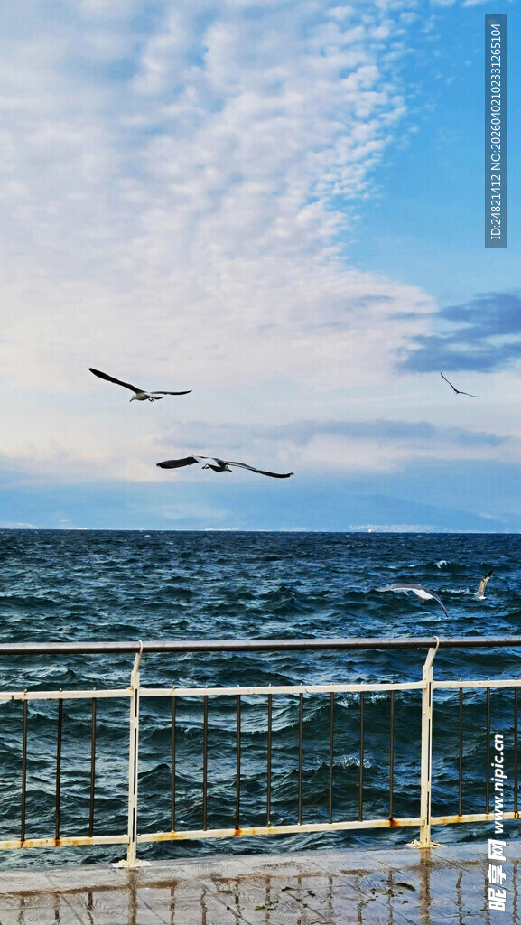 海边栏杆上飞翔的鸟儿