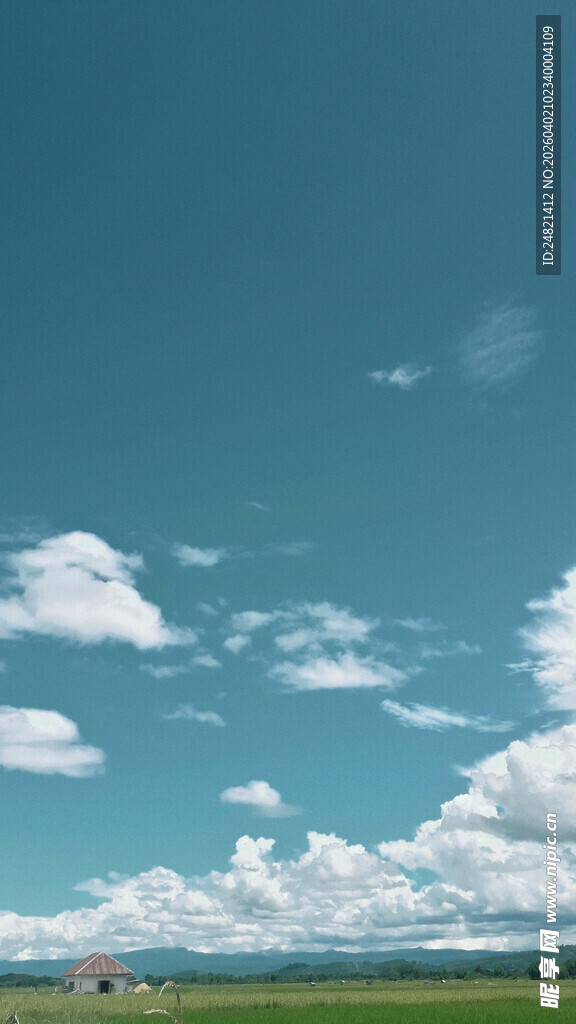 蓝天白云下的广袤原野