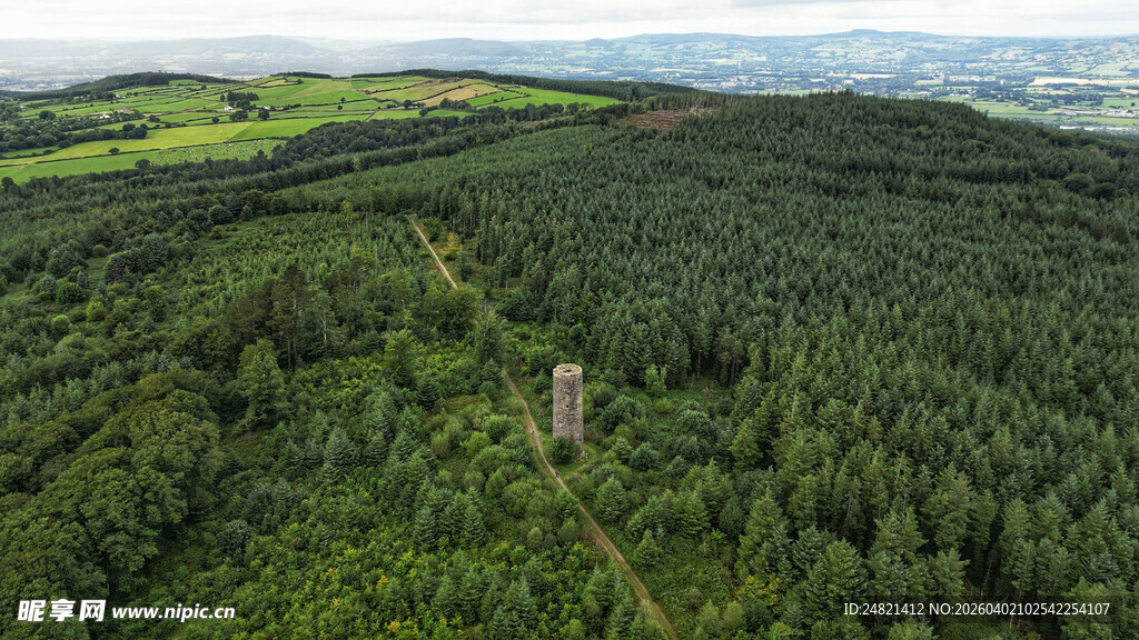俯瞰葱郁森林中的高塔