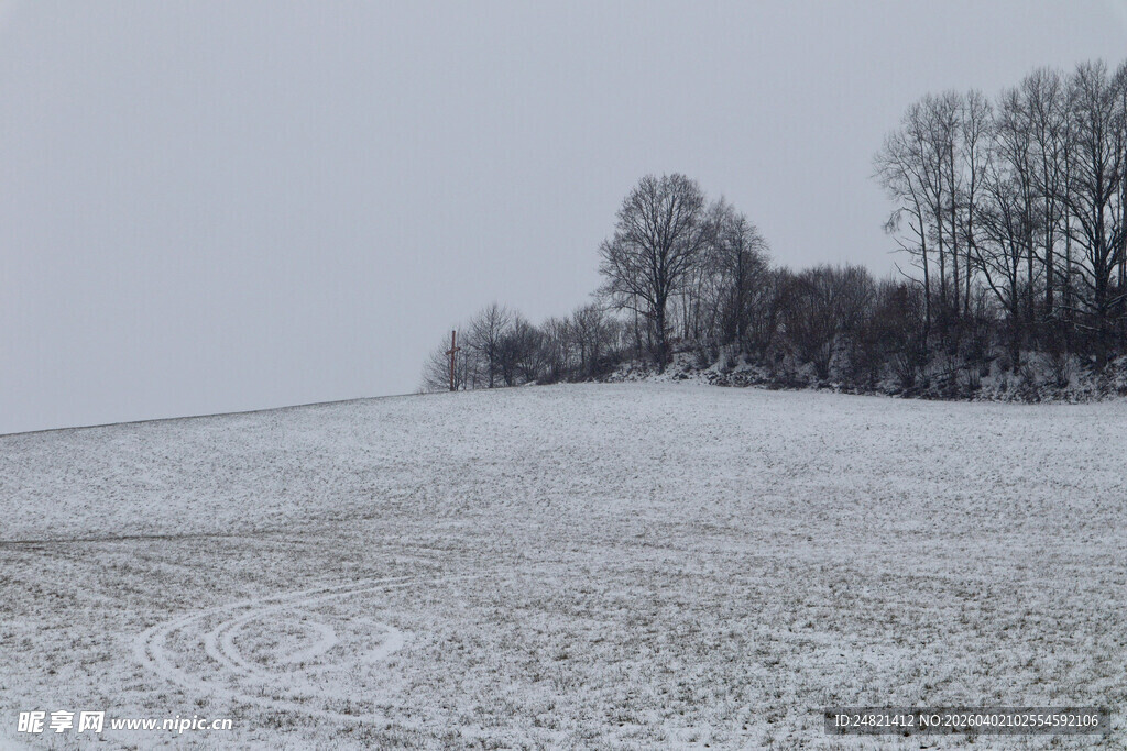 冬日雪野中的树木景观