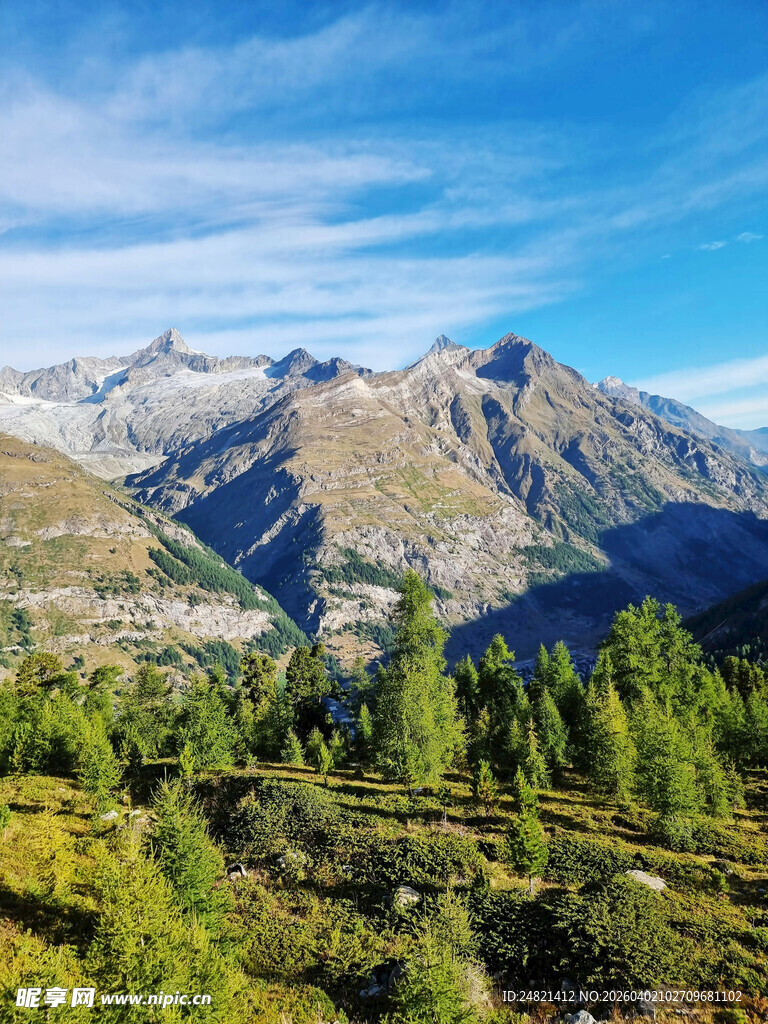壮丽山景与葱郁森林风光