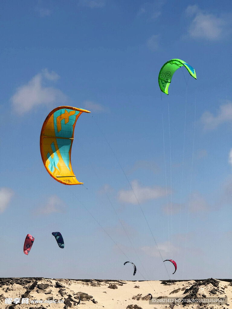 沙滩上多彩风筝飞舞