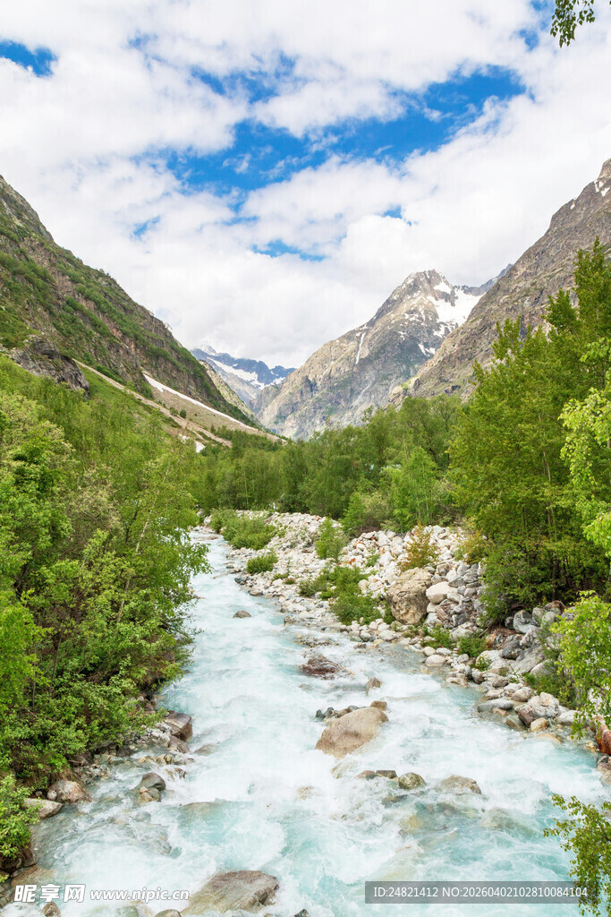 山间清澈溪流与葱郁植被