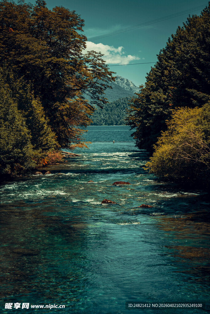 宁静河谷中的清澈河流