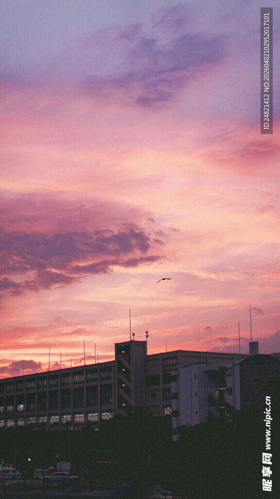 城市上空浪漫的粉紫色晚霞