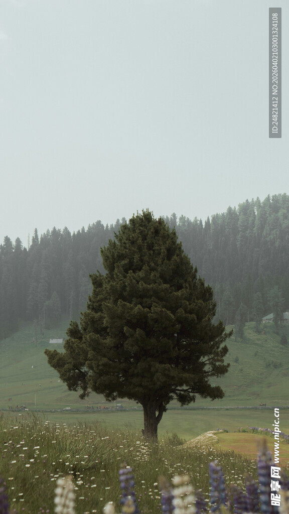 田野中孤独的大树与花丛