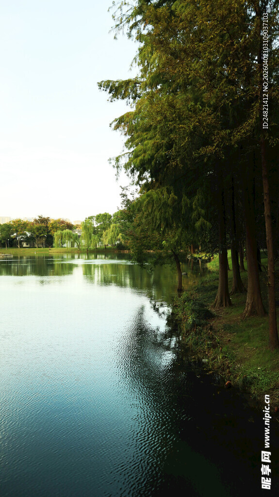 宁静湖畔绿树成荫美景