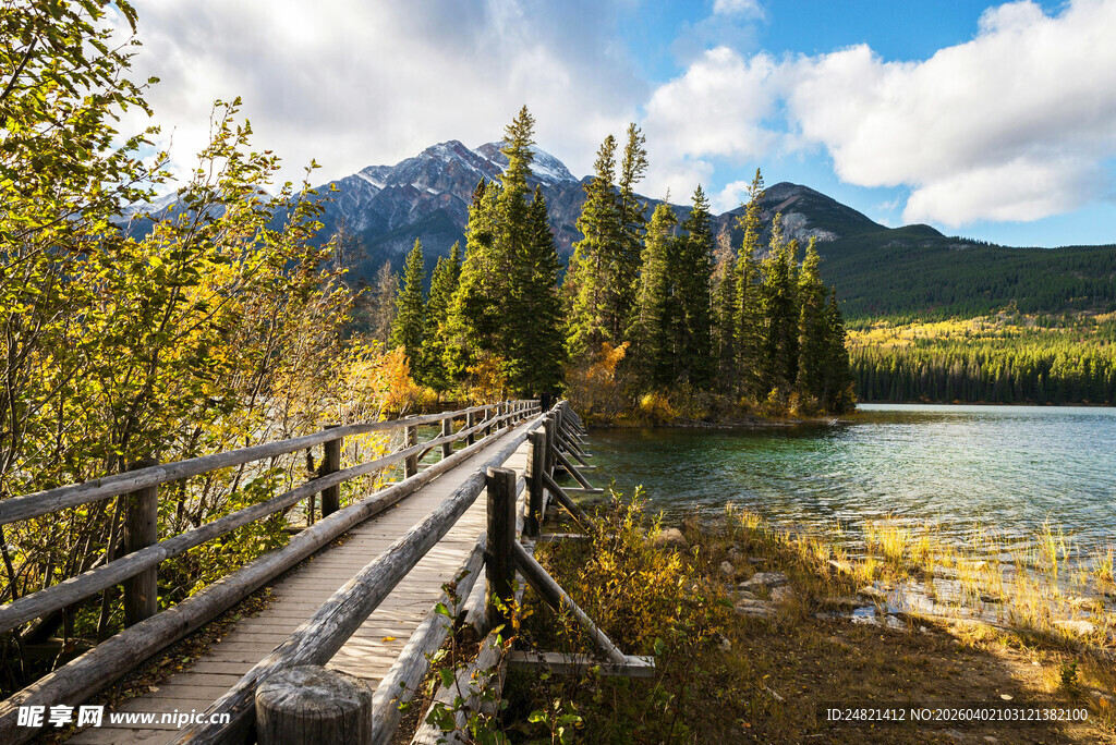 湖畔木栈道旁的山林美景
