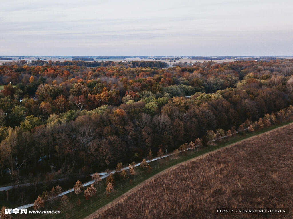 秋日田野与多彩树林景观