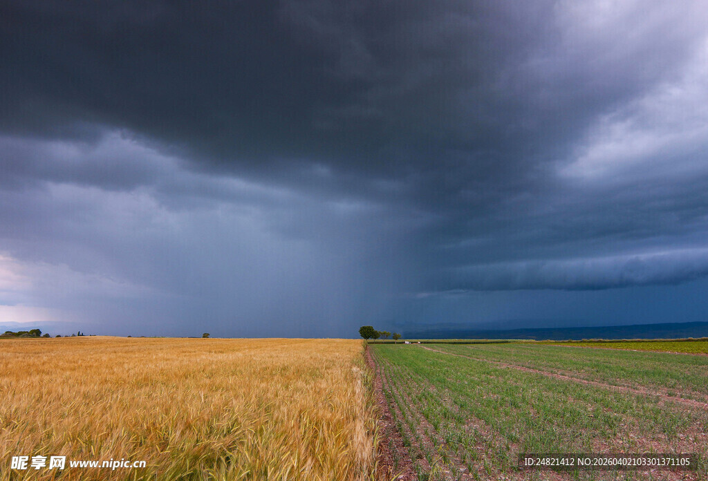 暴风雨下的田野风光