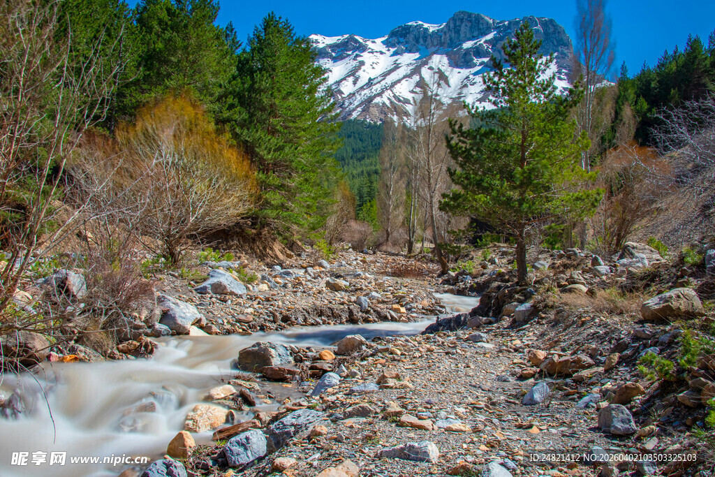 山间溪流伴葱郁林木