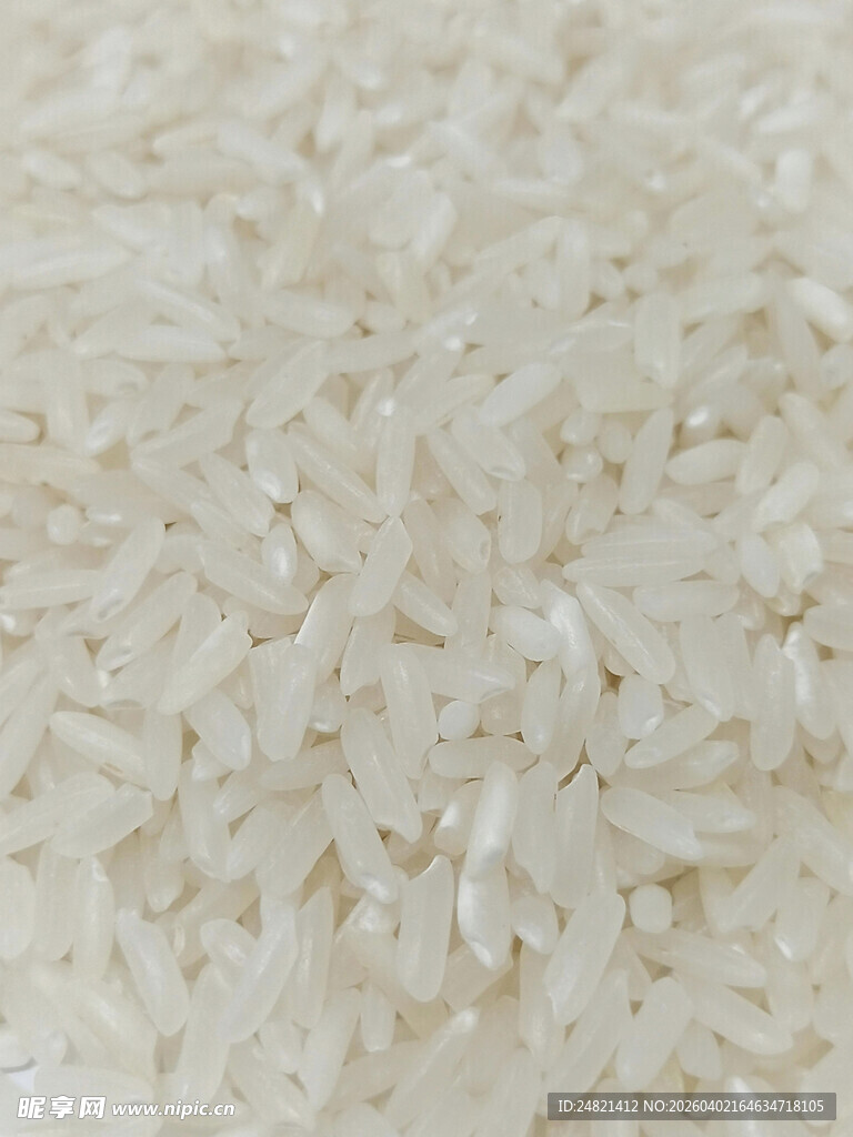 优质大米特写