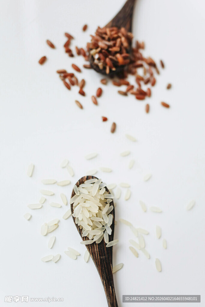 两把木勺盛不同种类米