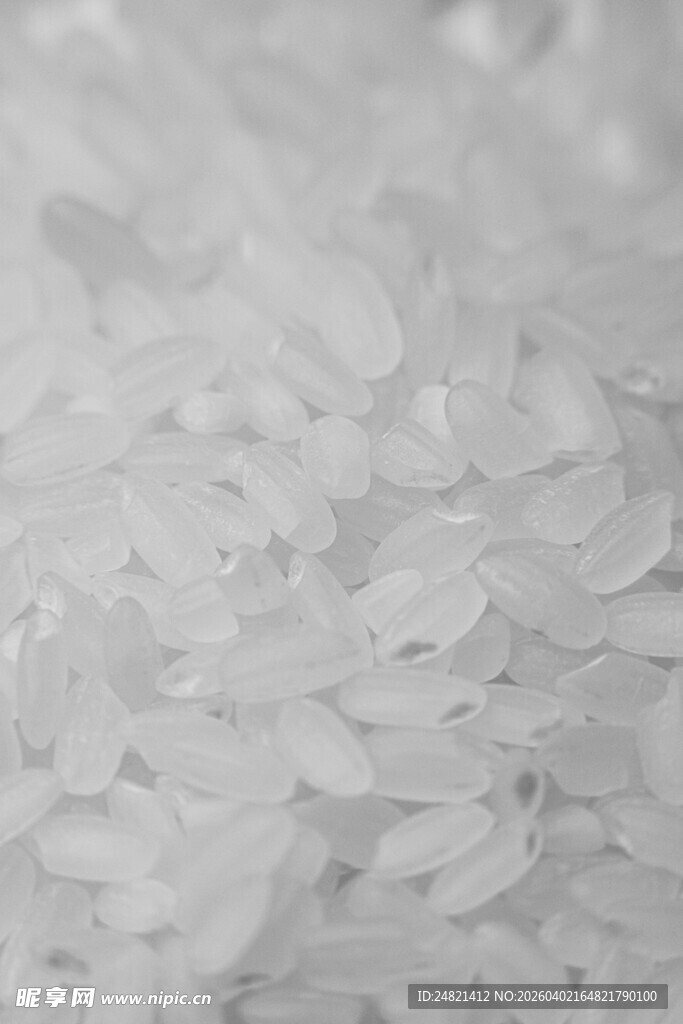 晶莹大米颗粒特写