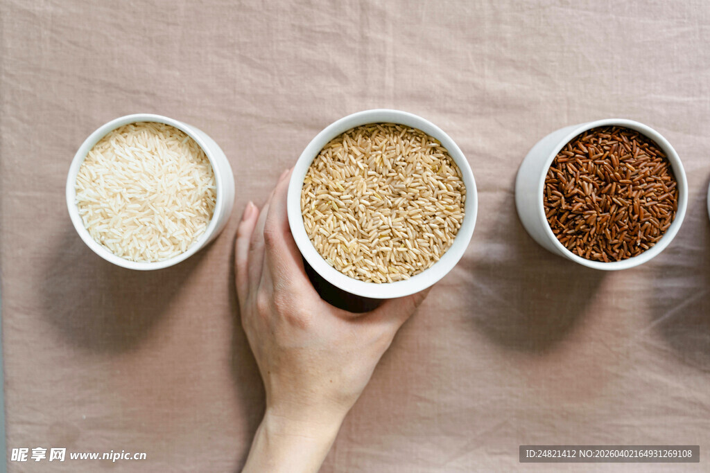 手捧多样谷物粮食展示