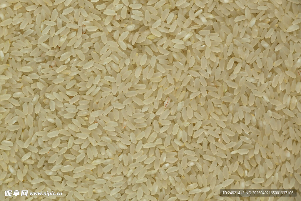 细腻米色颗粒纹理背景