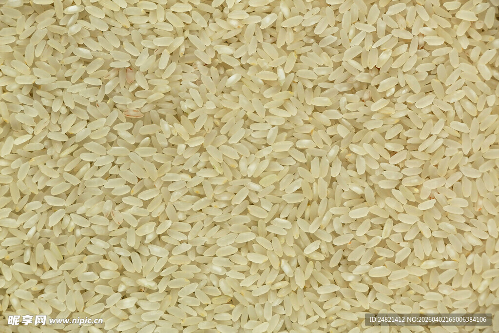 细腻米色颗粒质感纹理