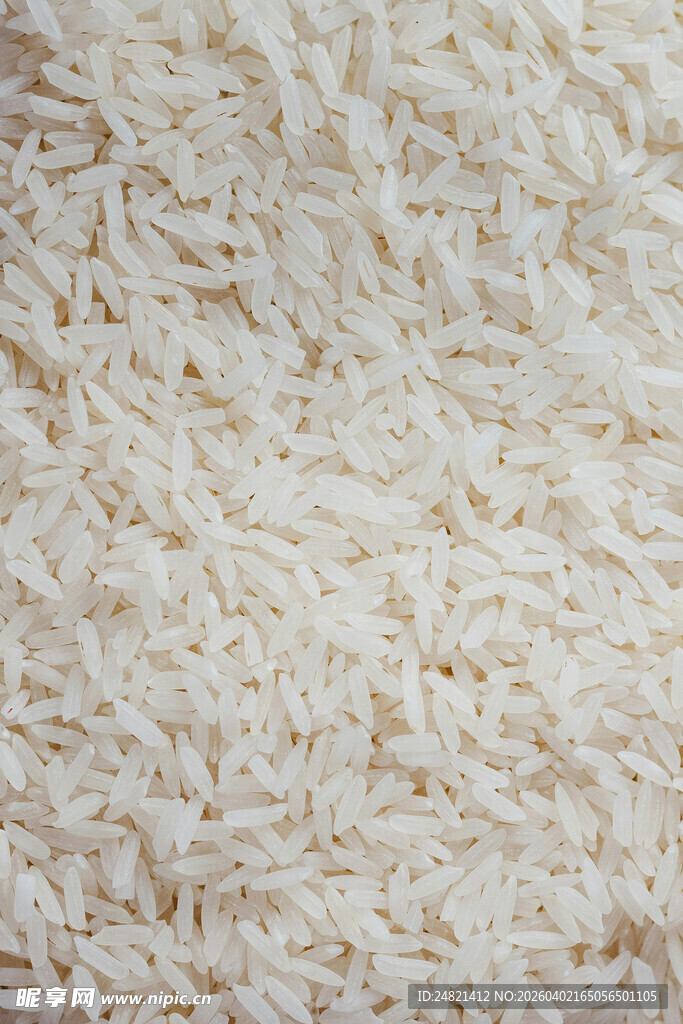 优质白米特写