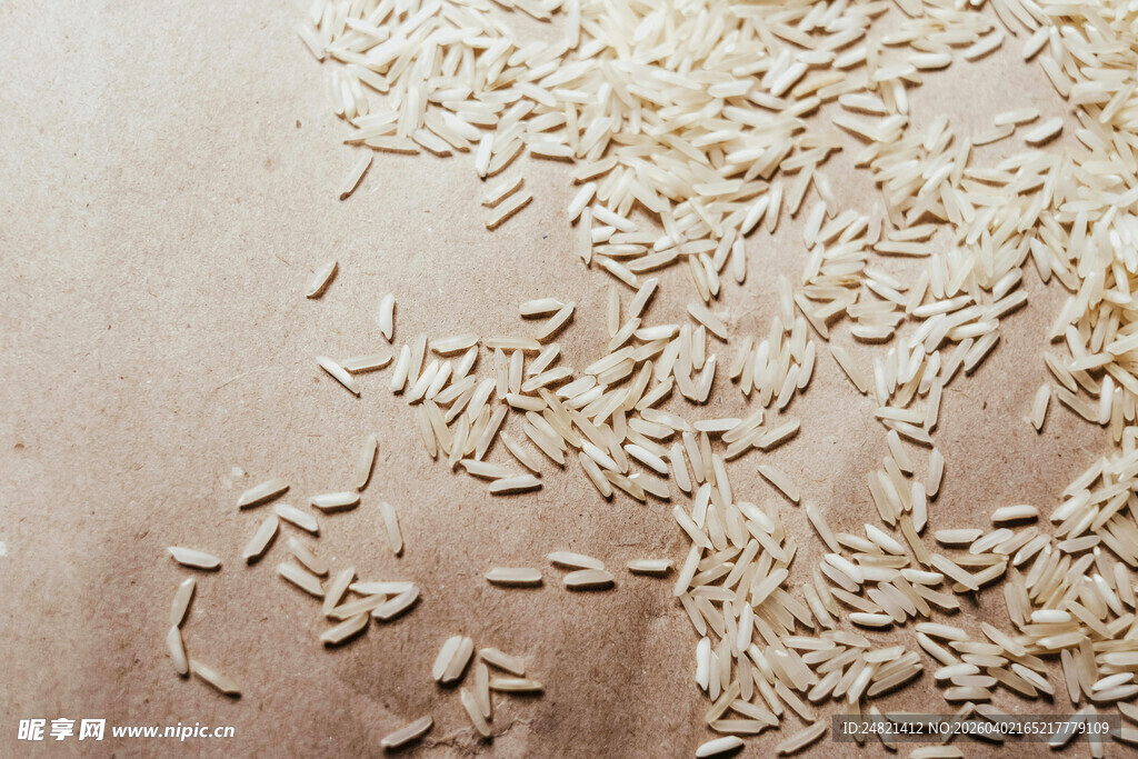 散落的米粒特写