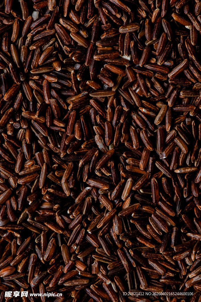 黑褐色虫子密集画面