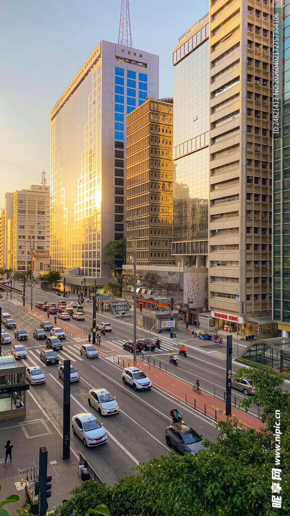 都市繁华街道车流景观