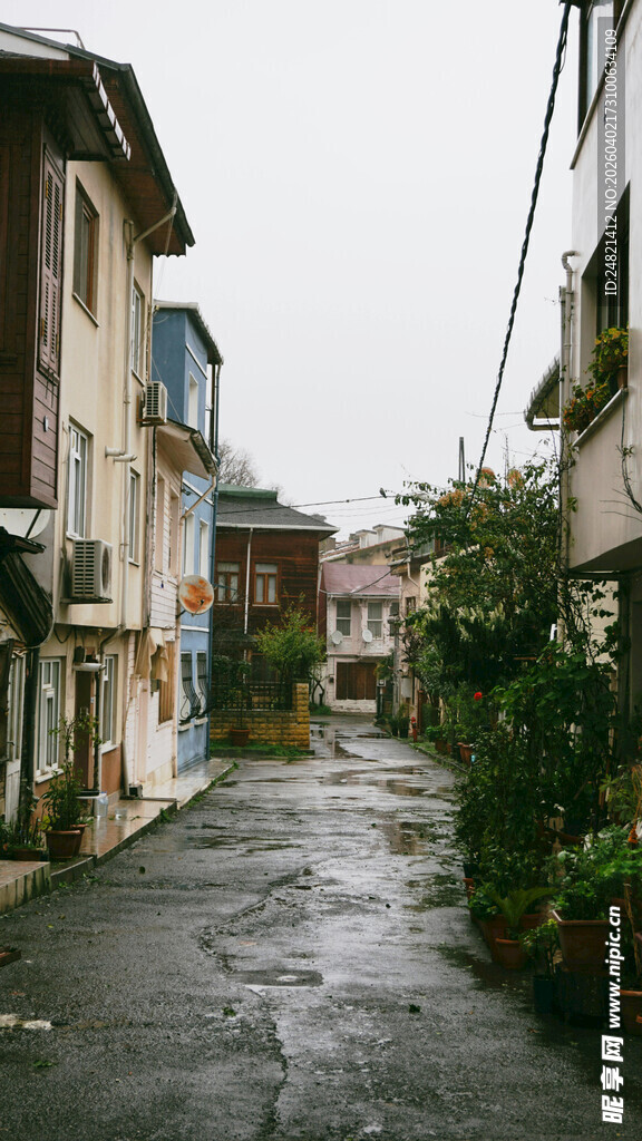雨后宁静小巷景致