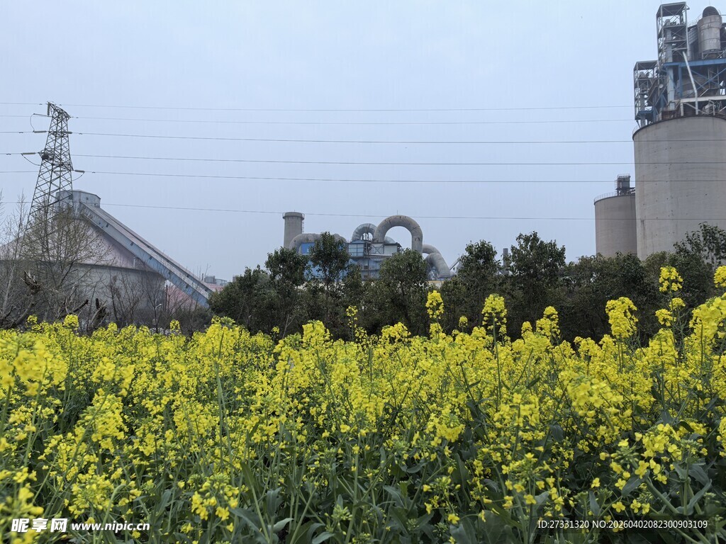 油菜花海旁的工厂设施