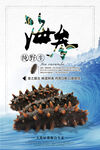 海参海报