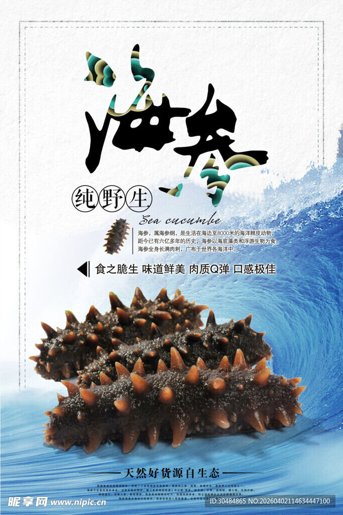 海参海报
