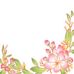 手绘粉色花卉装饰边框
