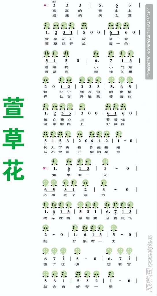 萱草花歌词内容展示