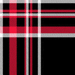 红黑格纹织物图案