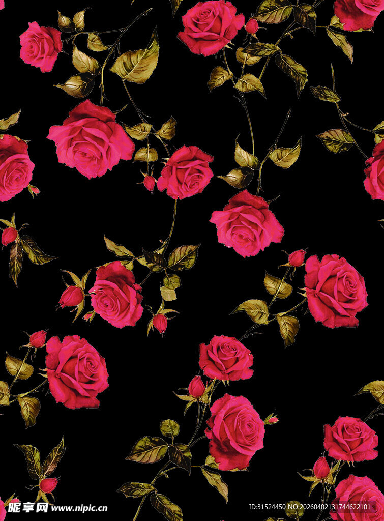 黑色背景上的粉红玫瑰花