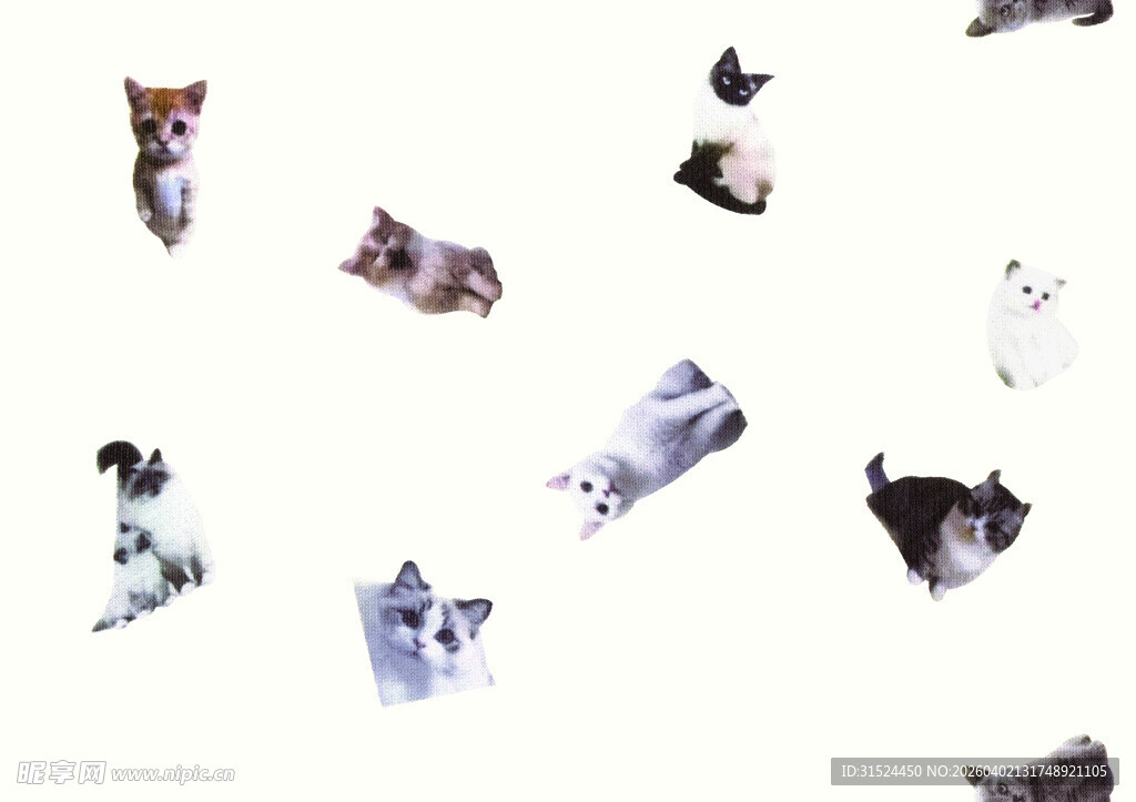 多样萌宠姿态大集合