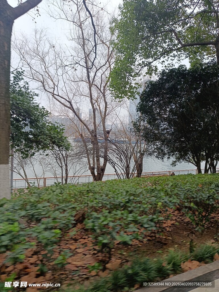 城市街边绿植景观