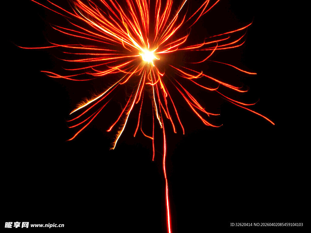 绚丽烟花绽放夜空