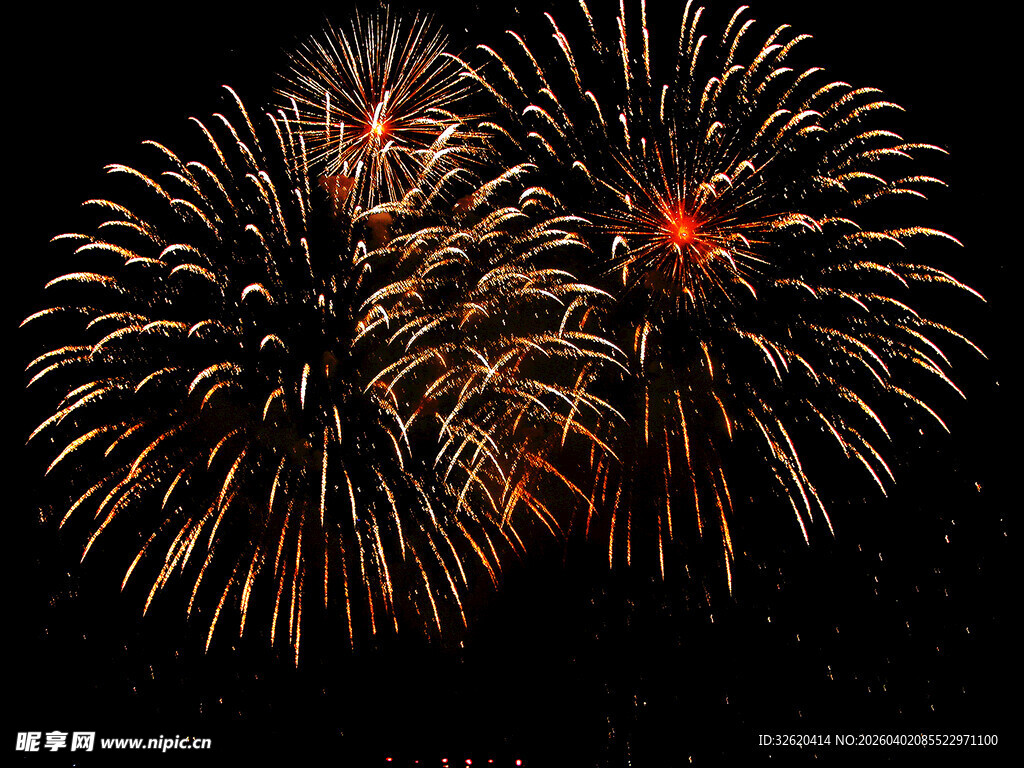 夜空中绚烂绽放的烟花