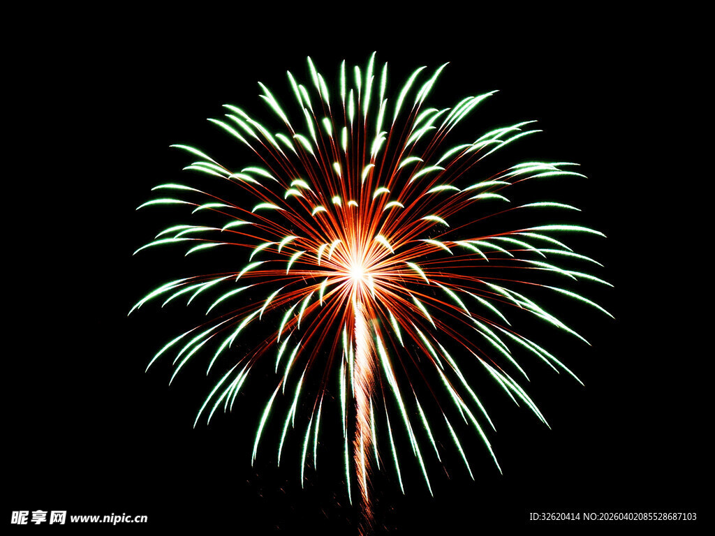 绚丽烟花绽放夜空中