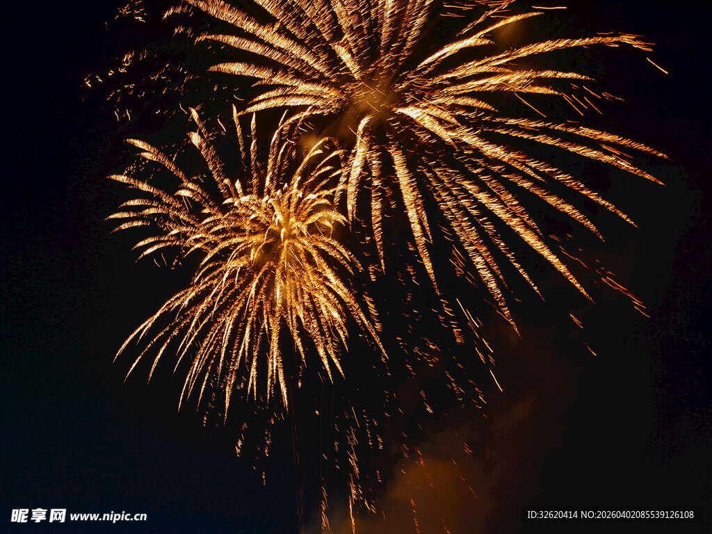 夜空中绚烂的金色烟花